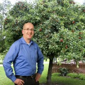 fruitboom met holleman