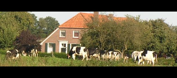 landelijk gebied